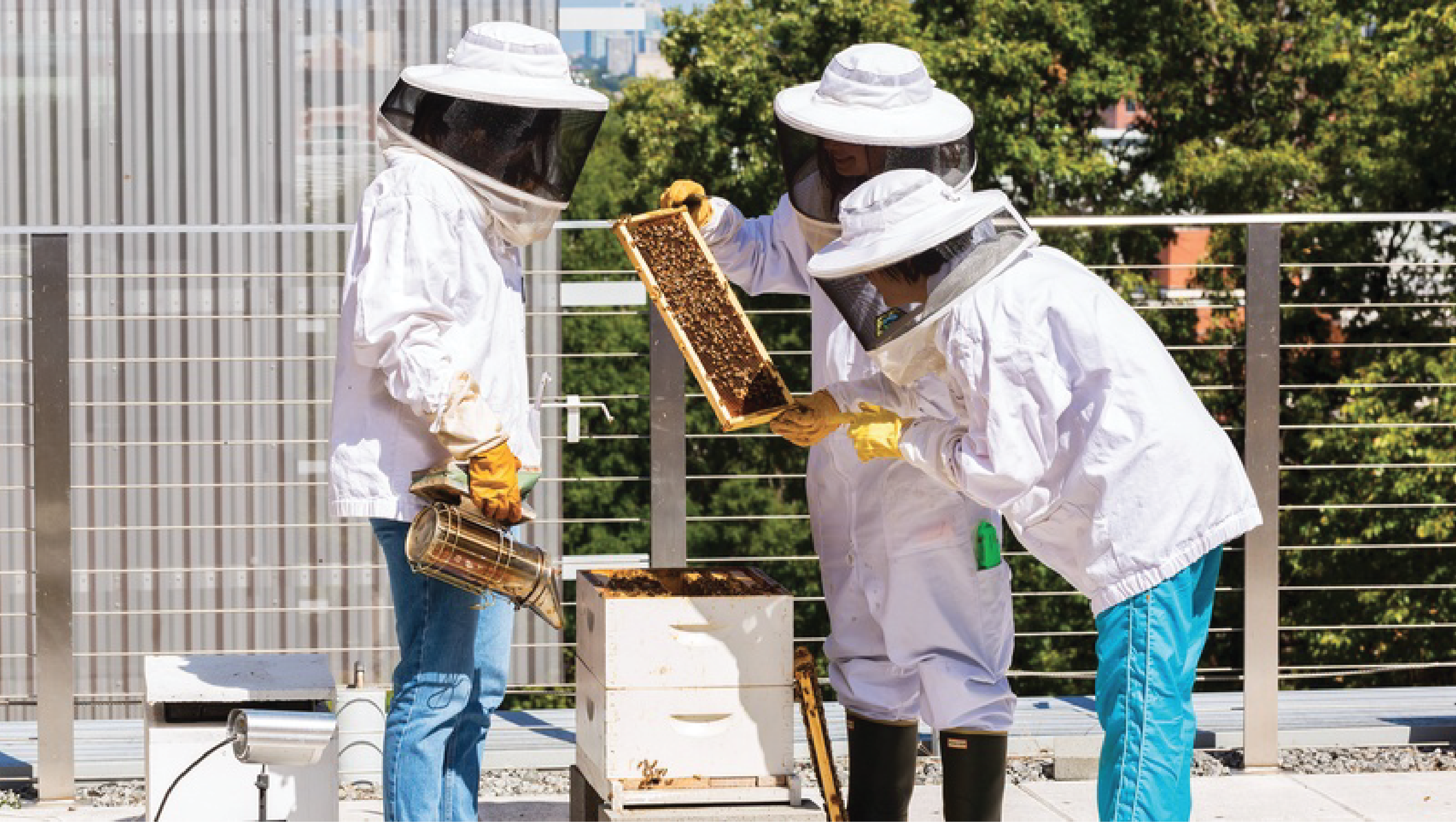 Beekeepers on Kendeda's roof