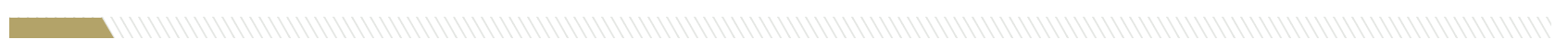Divider in Georgia Tech colors