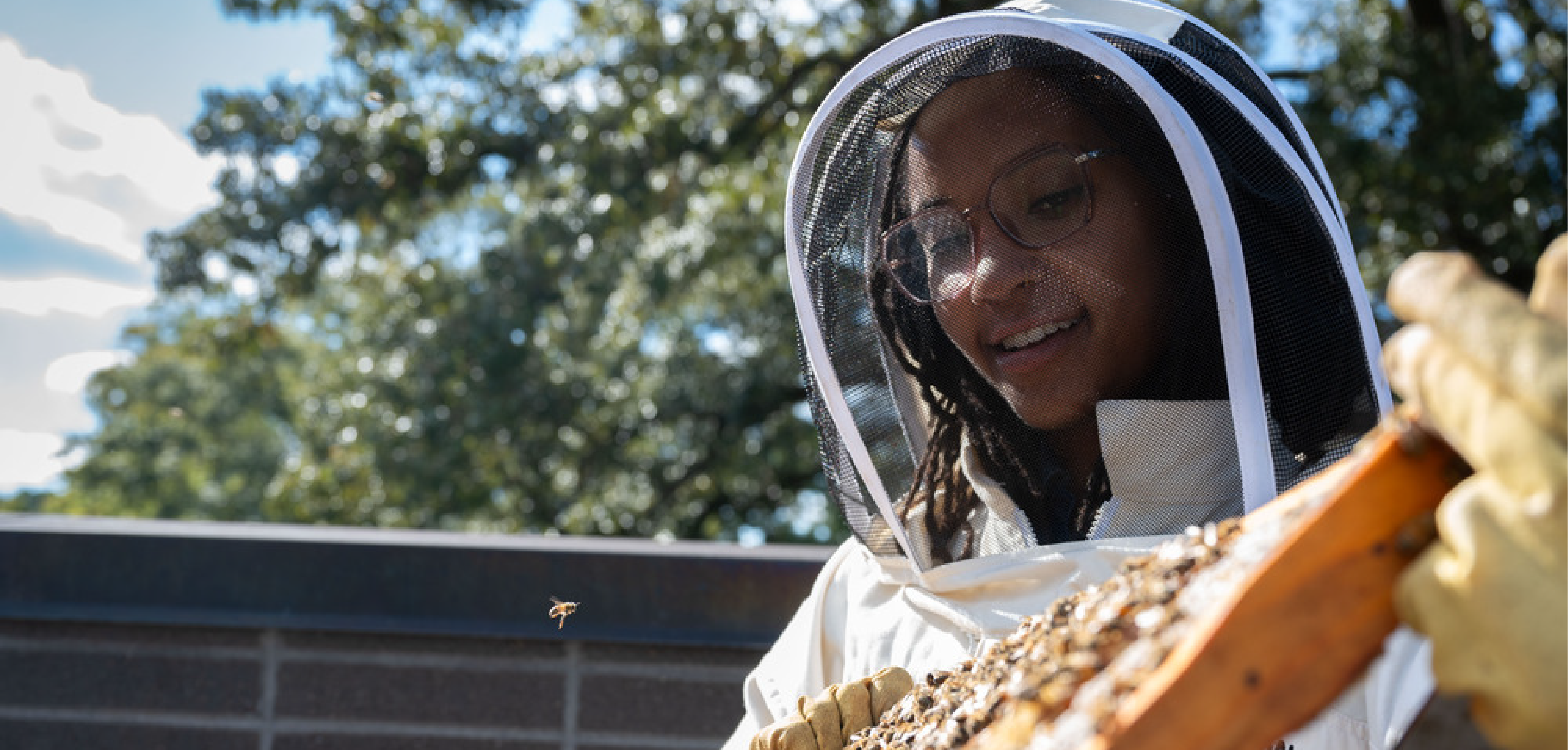 Beekeeper on Kendeda's roof