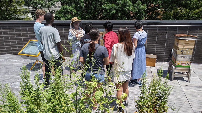 Group of students learning on the rooftop garden
