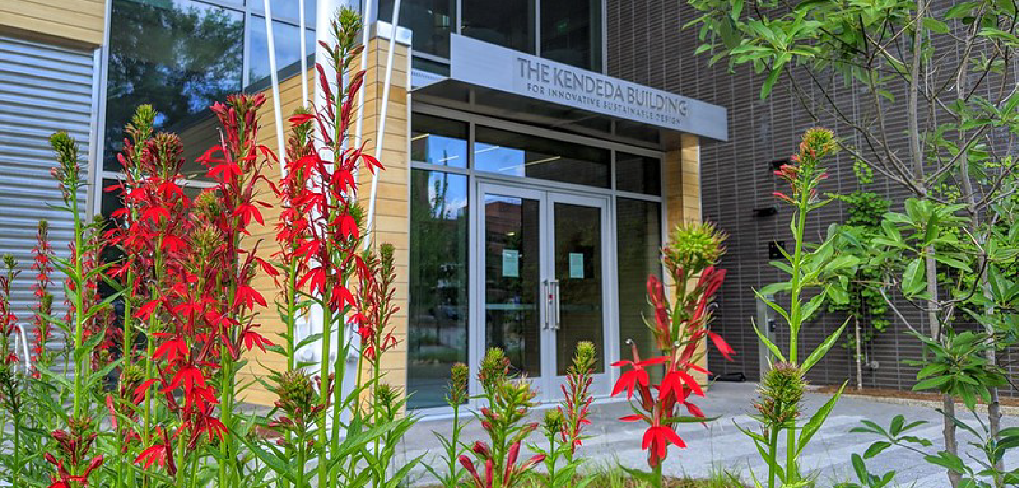view of plants and flowers outside of Kendeda