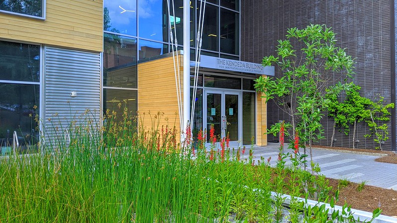Landscaping and water management outside of Kendeda