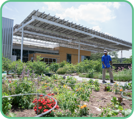 image of a person walking through the rooftop garden