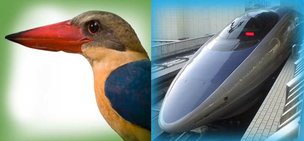 image of a bird's beak comparing it to the front of a bullet train