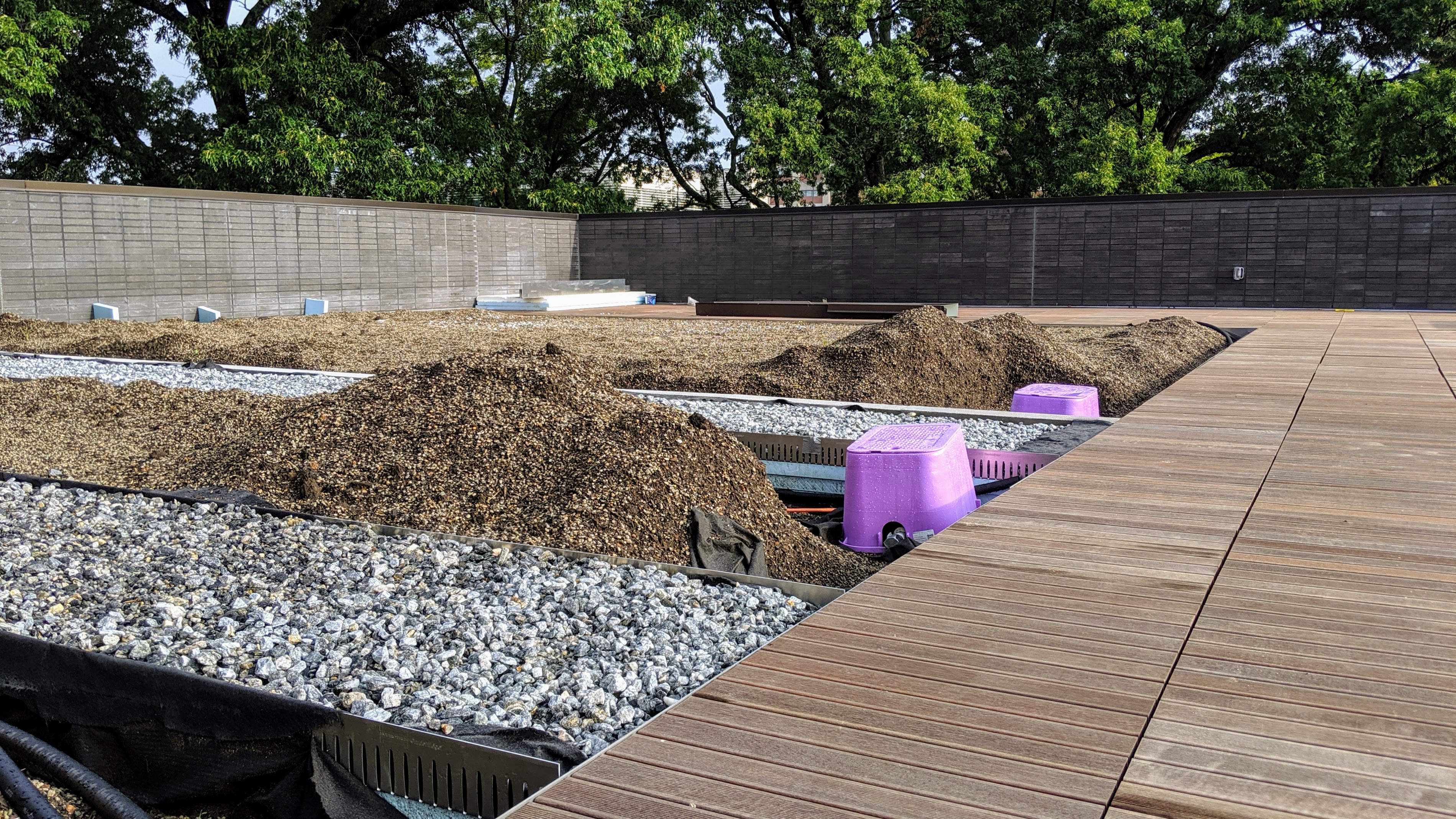 The rooftop garden's soil is also part of the rainfall management system.