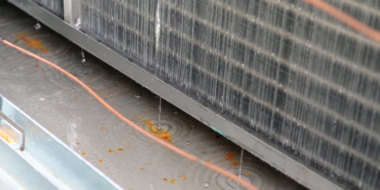 Condensate being collected within the DOAS.