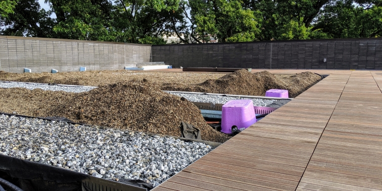 The rooftop garden's soil is also part of the rainfall management system.