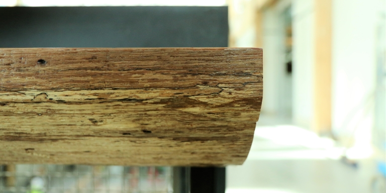 An example of a storm-fallen tree being turned into a “live edge” counter in the building.