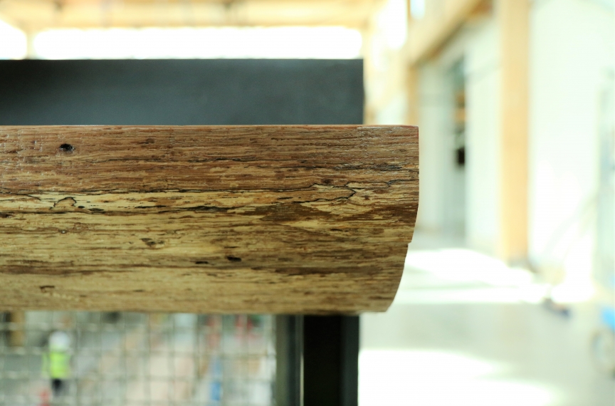 An example of a storm-fallen tree being turned into a “live edge” counter in the building.