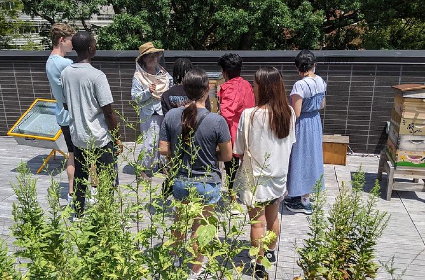 Group of students learning on the rooftop garden