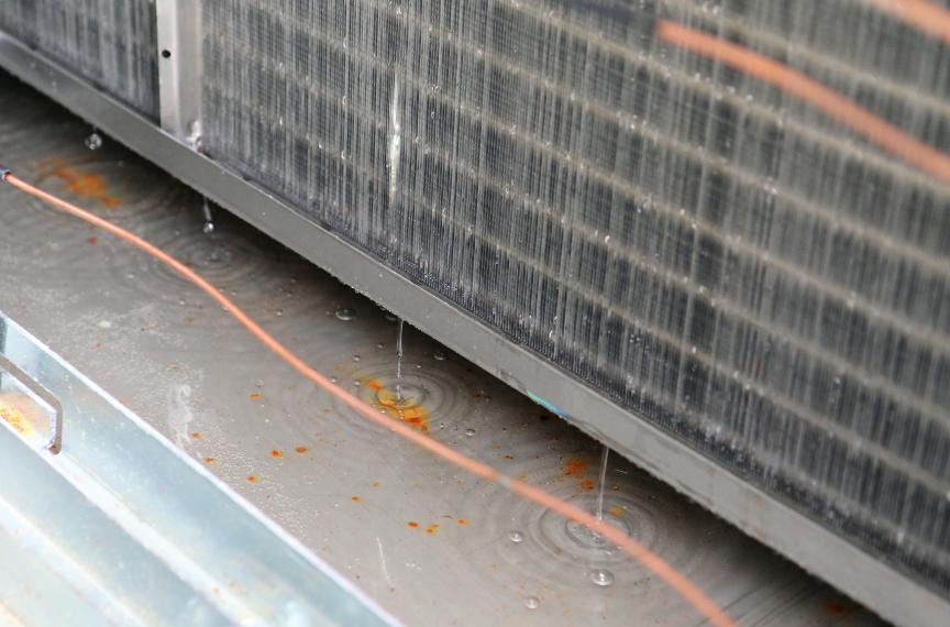 Condensate being collected within the DOAS.